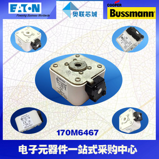 特价，原装BUSSMANN快速熔断器170M6599现货,热卖!