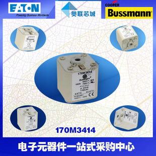 特价，原装BUSSMANN快速熔断器170M3365现货,热卖!