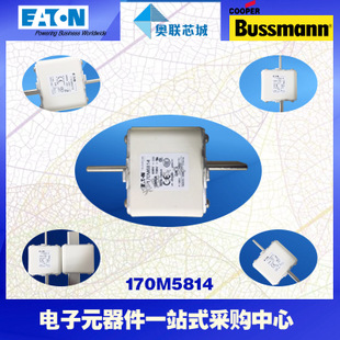 特价，原装BUSSMANN快速熔断器170M5960现货,热卖!