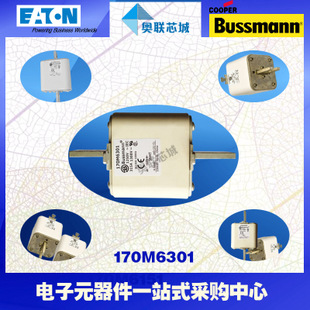特价，原装BUSSMANN快速熔断器170M6338现货,热卖!