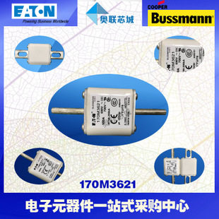 特价，原装BUSSMANN快速熔断器170M3660现货,热卖!