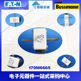 特价，原装BUSSMANN快速熔断器170M6661现货,热卖!