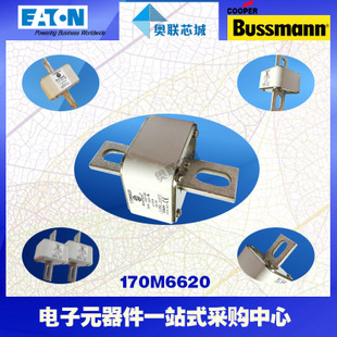 特价，原装BUSSMANN快速熔断器170M6664现货,热卖!