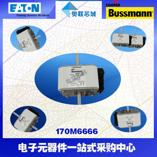 特价，原装BUSSMANN快速熔断器170M6671现货,热卖!