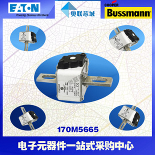 特价，原装BUSSMANN快速熔断器170M5710现货,热卖!