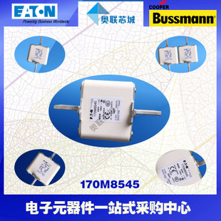 特价，原装BUSSMANN快速熔断器170M8538现货,热卖!