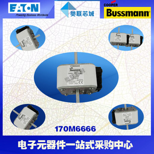 特价，原装BUSSMANN快速熔断器170M6670现货,热卖!