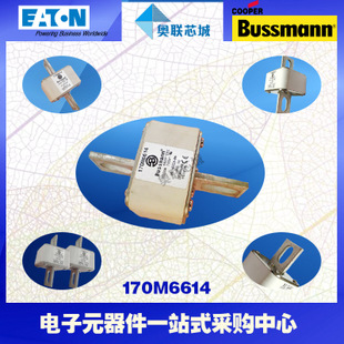特价，原装BUSSMANN快速熔断器170M6699现货,热卖!