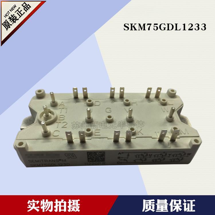 SKM75GD101D